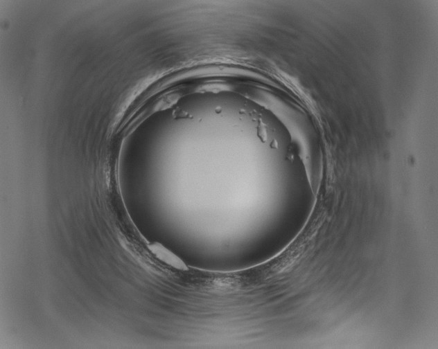 X0000070190060200605261208