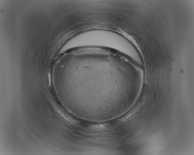 X0000070190061200605261208