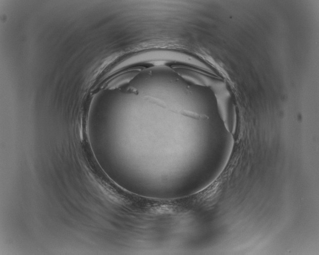 X0000070190062200605261208