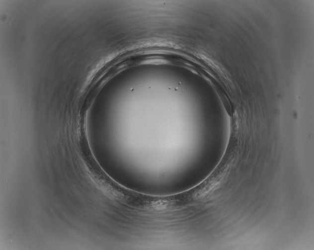 X0000070190064200605261208