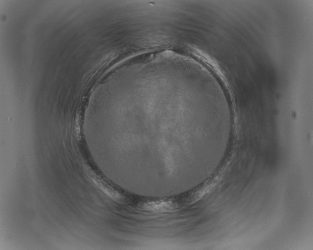 X0000070190065200605261208