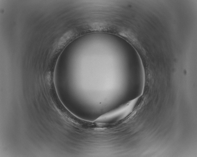 X0000070190066200605261208