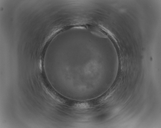 X0000070190067200605261208