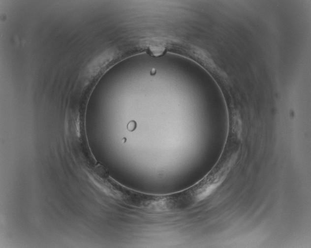 X0000070190068200605261208