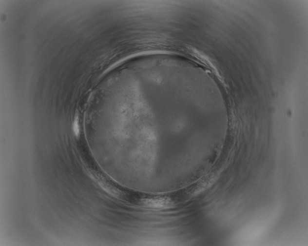 X0000070190069200605261208