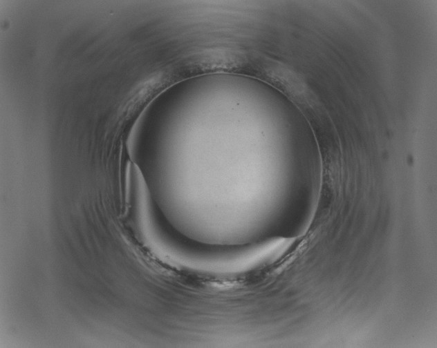 X0000070190070200605261208