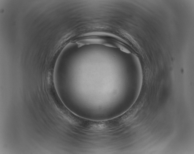 X0000070190071200605261208