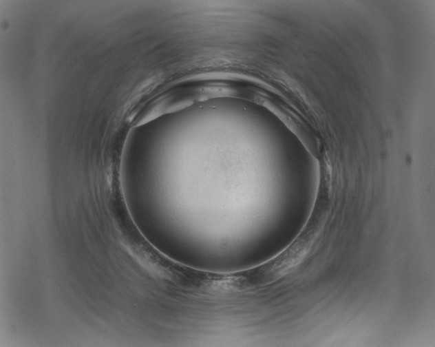 X0000070190072200605261208