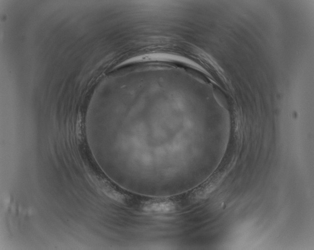 X0000070190073200605261208