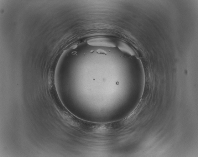 X0000070190074200605261208