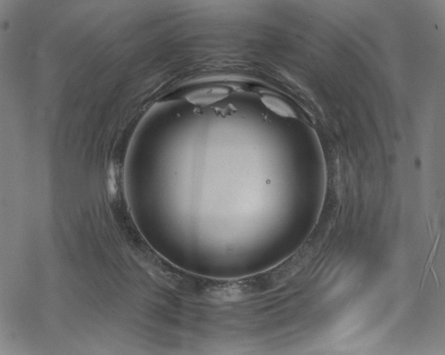 X0000070190075200605261208