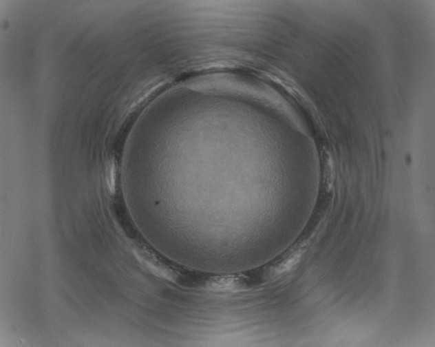 X0000070190076200605261208