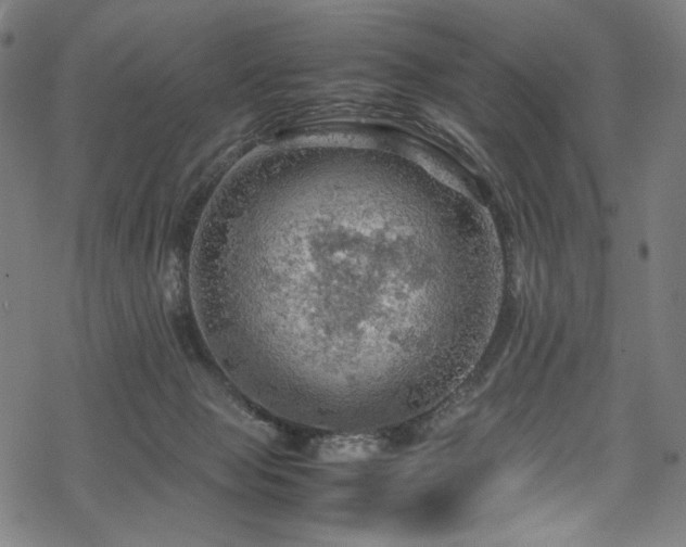 X0000070190077200605261208