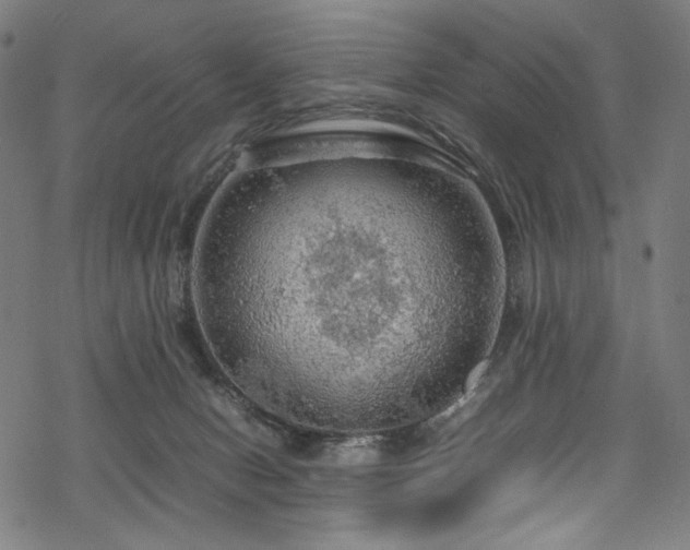 X0000070190078200605261208