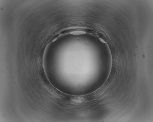 X0000070190079200605261208