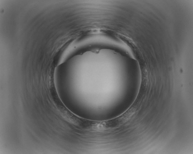 X0000070190080200605261208