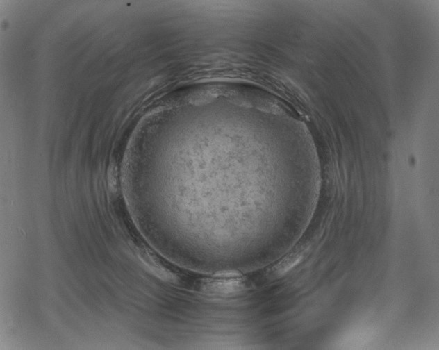 X0000070190081200605261208