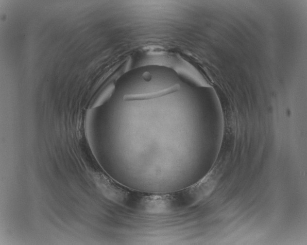 X0000070190082200605261208