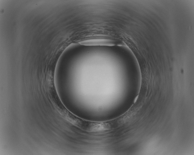 X0000070190083200605261208