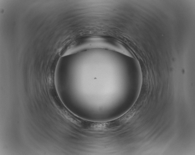 X0000070190084200605261208