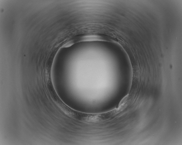 X0000070190086200605261208