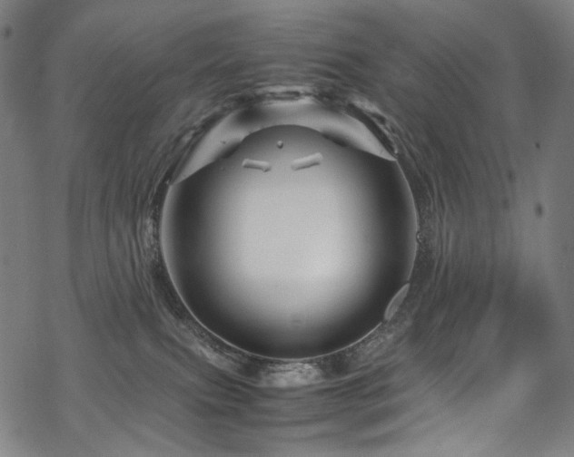 X0000070190087200605261208