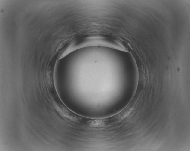 X0000070190088200605261208