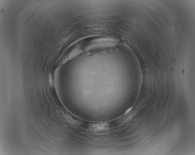 X0000070190089200605261208