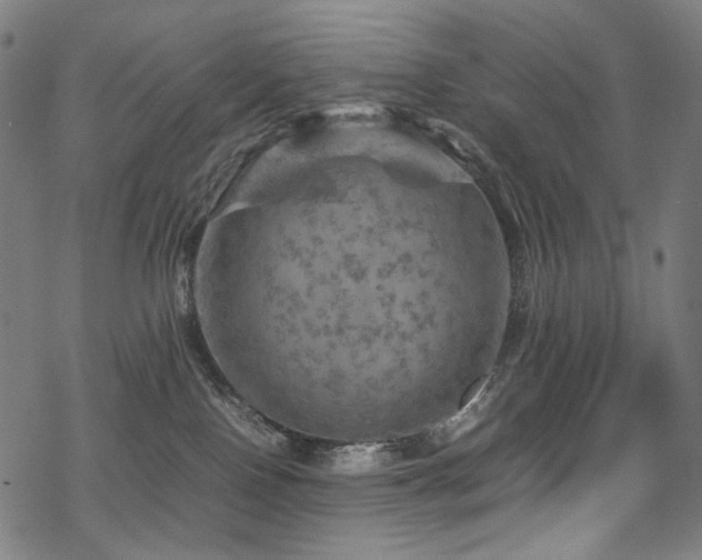 X0000070190090200605261208