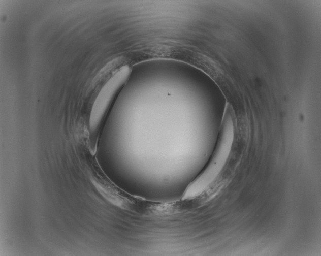 X0000070190092200605261208