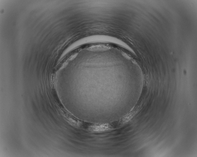 X0000070190093200605261208