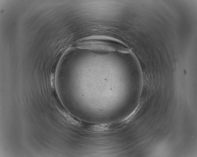 X0000070190094200605261208