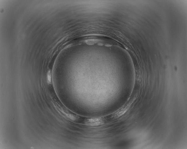 X0000070190095200605261208