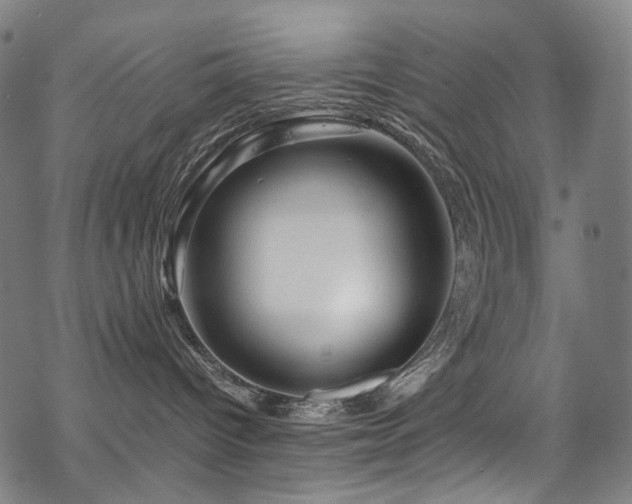 X0000070190096200605261208