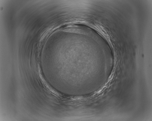 X0000070190097200605261208