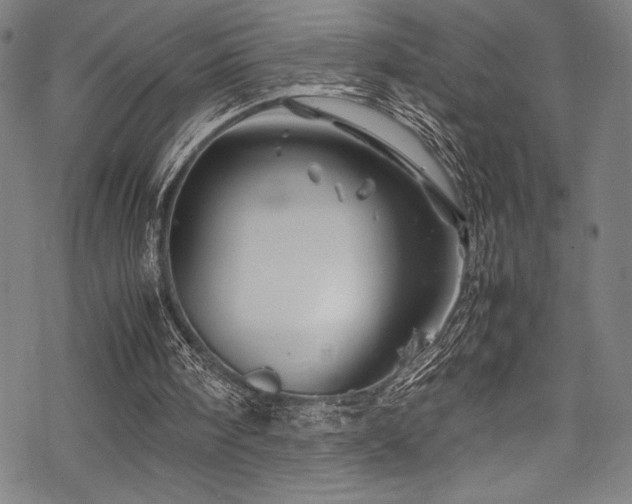 X0000070190098200605261208