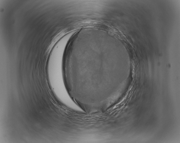 X0000070190099200605261208