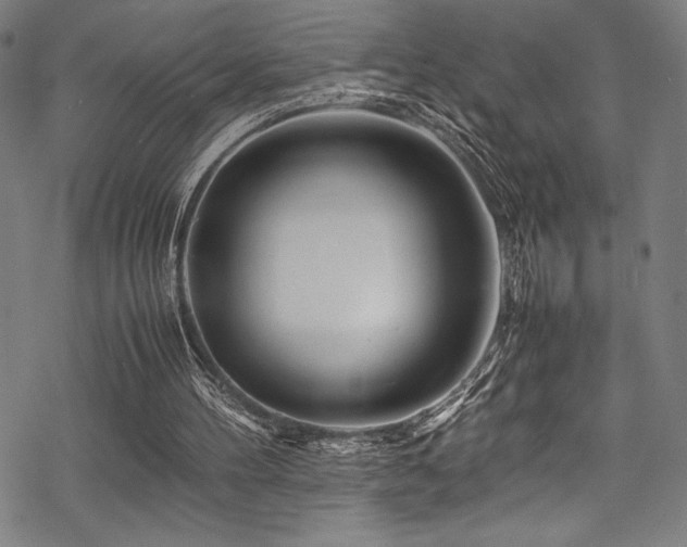 X0000070190100200605261208