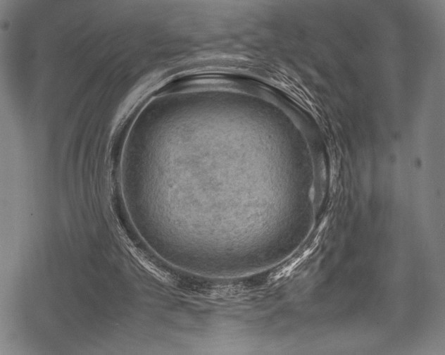 X0000070190101200605261208