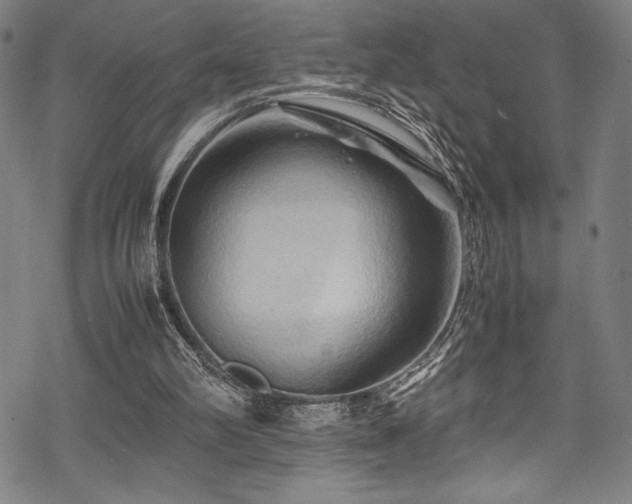 X0000070190102200605261208