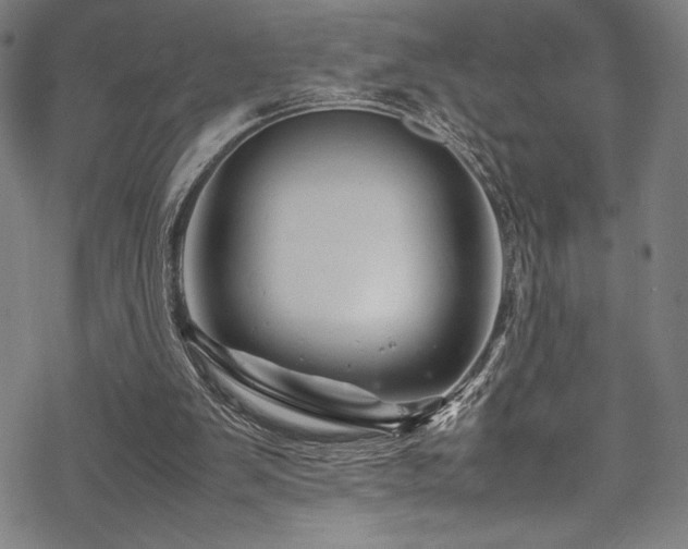 X0000070190103200605261207