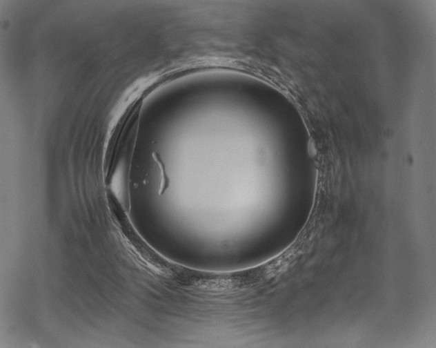 X0000070190104200605261207