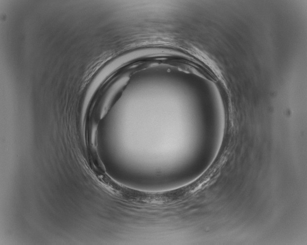 X0000070190105200605261207