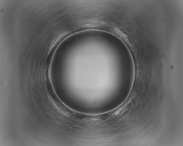 X0000070190106200605261207