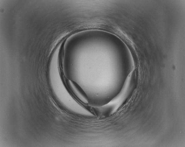 X0000070190107200605261207