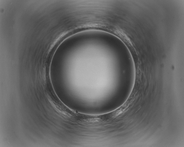 X0000070190108200605261207