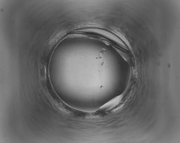 X0000070190109200605261207