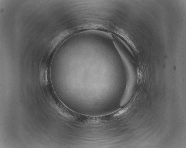 X0000070190110200605261207