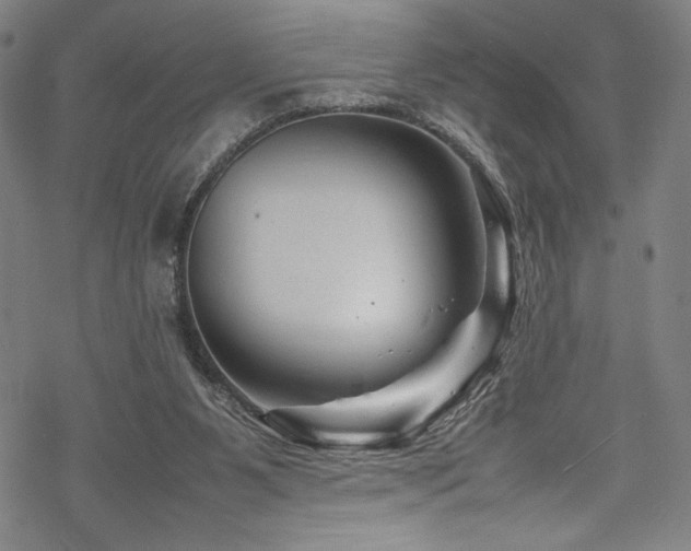 X0000070190111200605261207