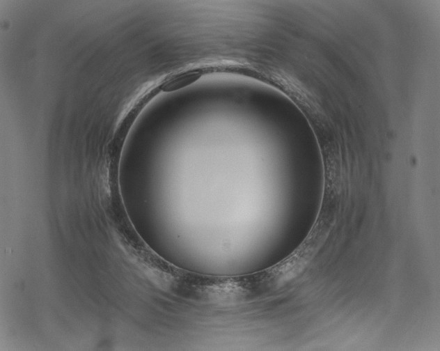 X0000070190112200605261207